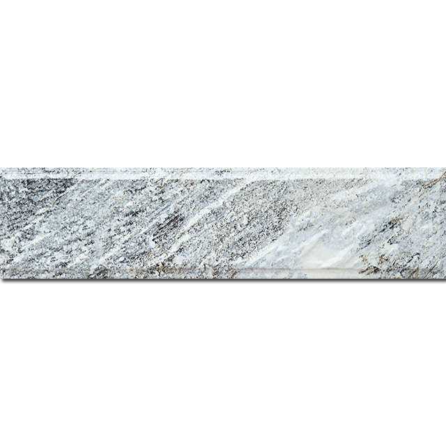 PM6565